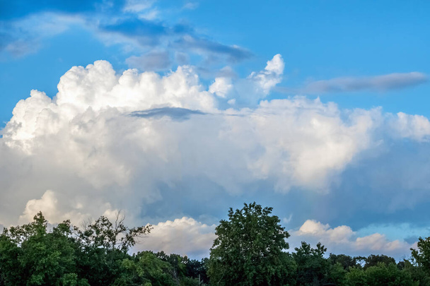 Duża skumulowana chmura nad letnią linią drzew w New Jersey. - Zdjęcie, obraz