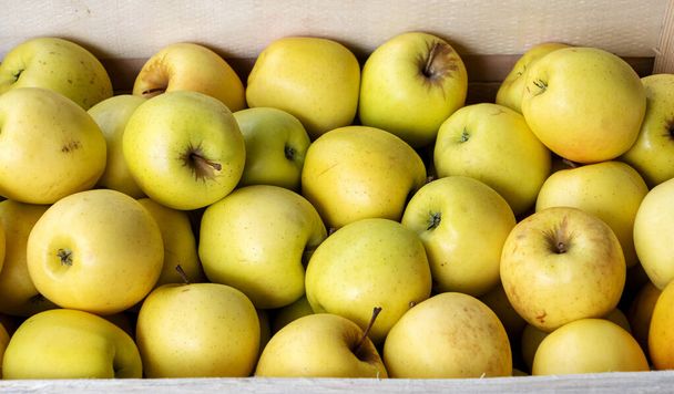 fresh golden  apples in a wooden crate - Photo, Image