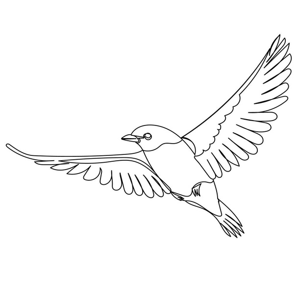 flying bird sketch on white background - Vector, Imagen
