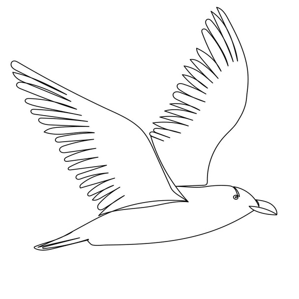 vector, isolated sketch on white background flying bird - Vettoriali, immagini