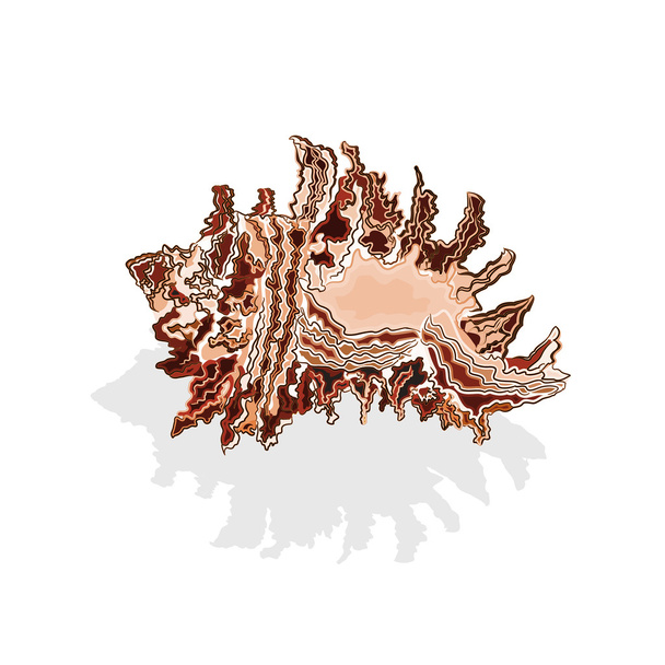 Sea shells brown and white vector - Vector, Image