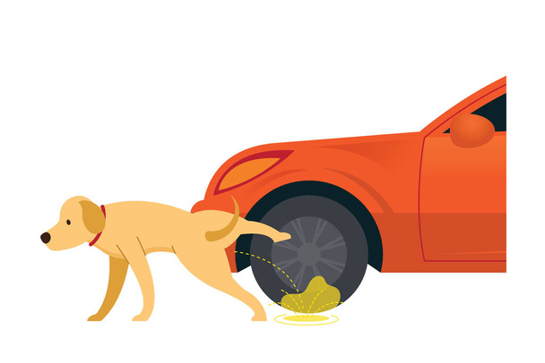 Perro orinando sobre neumáticos y ruedas, problemas de comportamiento y malos hábitos - Vector, imagen