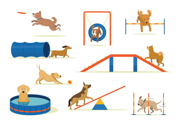 Perros Jugando con Equipo Conjunto, Zona de Juegos, Entrenamiento, Ejercicio y Desafío - Vector, Imagen