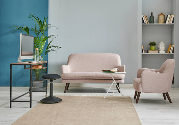 Cinza e azul estilo sala de estar, sofá pequeno moderno, piso em parquet tapete, vaso de planta verde e conceito de prateleira. - Foto, Imagem