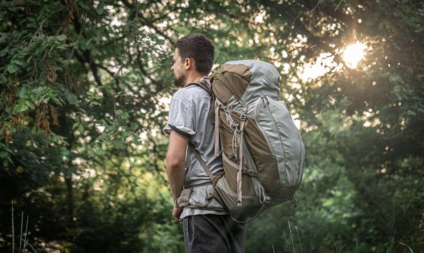 Caminante en una caminata con una gran mochila sobre un fondo borroso del bosque. - Foto, imagen