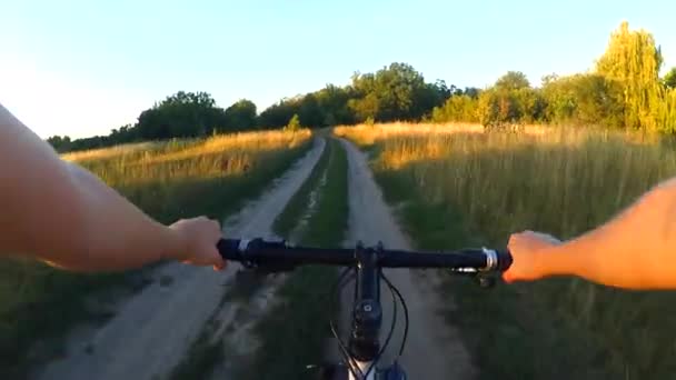 Una ragazza va in bicicletta a terra in un campo estivo durante l'alba del tramonto. - Filmati, video