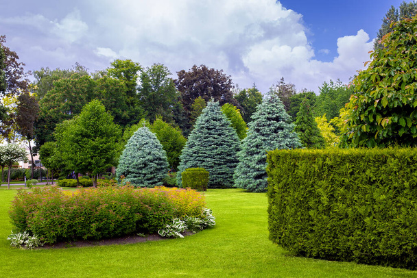 landschap van een park met een tuinbed en loofbomen met bladeren en dennennaalden op een groen grasveld, groenblijvende en seizoensgebonden planten in de achtertuin. - Foto, afbeelding