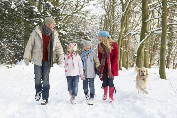 Family Walking Dog Through Snowy Woodland - Фото, зображення