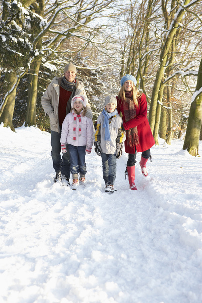 Family Walking Through Snowy Woodland - Valokuva, kuva
