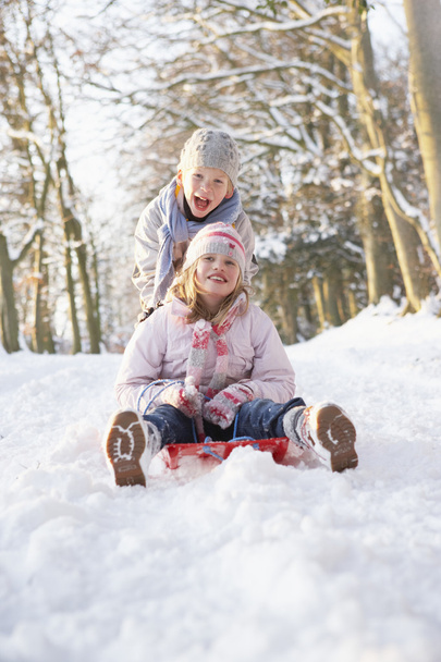 Boy And Girl Sledging Through Snowy Woodland - Fotoğraf, Görsel