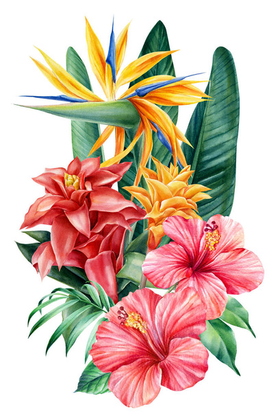 Bouquet tropical flowers on isolated background, watercolor illustration. Strelitzia, guzmania, hibiscus, palm leaves - Photo, Image