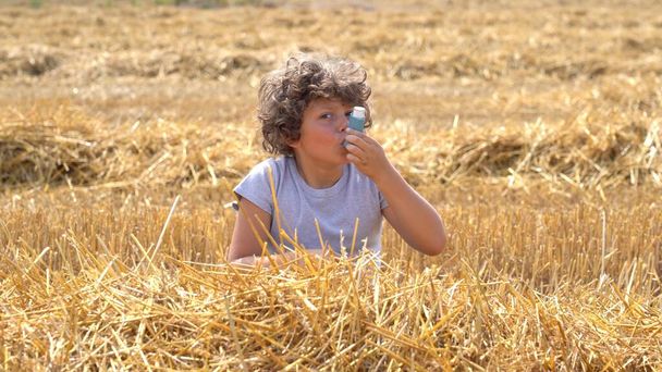 Pequenas crianças caucasianas europeias têm alergias de pólen de flores no campo de trigo recém-cortado, o menino tem nariz escorrendo no campo de flores e esfregar o nariz por papel tissue asma e ventolina - Foto, Imagem