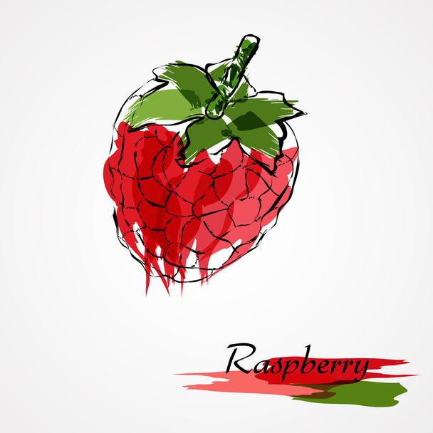 ラズベリーの果実 - ベクター画像