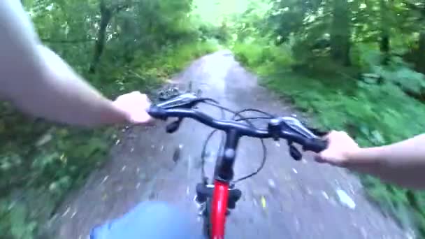Pyöräilijä pyöräilemässä nopealla lehtimetsällä - Materiaali, video