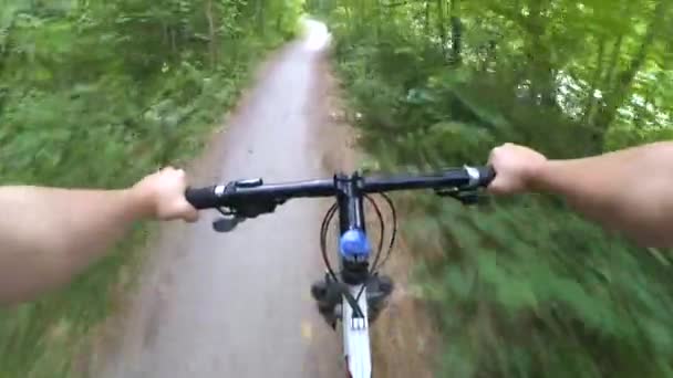 Montando rápido em uma bicicleta na floresta, Mãos na roda - Filmagem, Vídeo