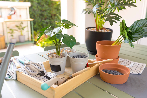 plantes en pot sur la table d'extérieur - Photo, image