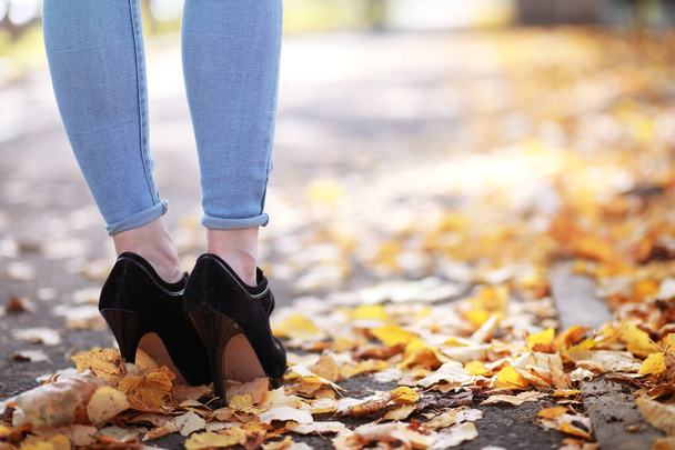 Giovane bella ragazza in una passeggiata nel parco autunnale. Caduta di foglie nel parco cittadino. Ottobre.. - Foto, immagini