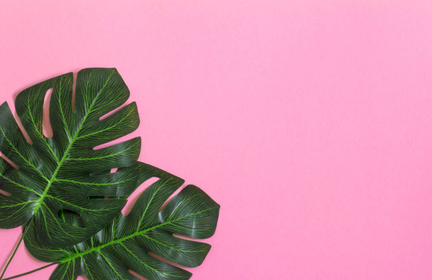 Artificial monstera leaves on a bright pink background.Top view, copy of the space. - Photo, Image