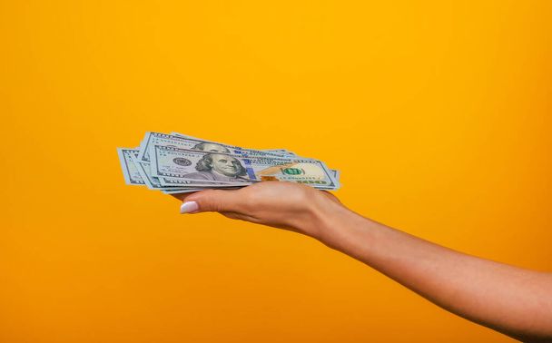 Close up photo of beautiful female hands holding the bunch of dollars of USA isolated on yellow background. Economy, business and finance concept - Foto, immagini