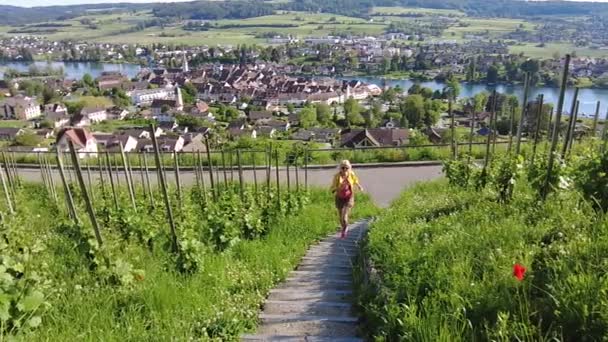 Женщина бегает по швейцарским виноградникам - Кадры, видео