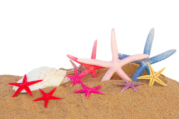 starfish in sand - Photo, Image