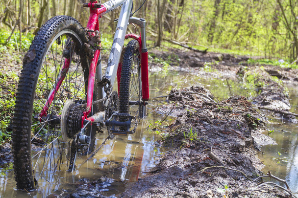 汚い車輪と森のトレイルの自転車の底のクローズアップ。泥の水たまりの自転車の車輪からの眺め - 写真・画像