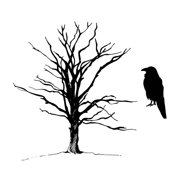 Silhouette corvo albero e uccello, schizzo vettoriale disegnato a mano, isolato su sfondo bianco - Vettoriali, immagini