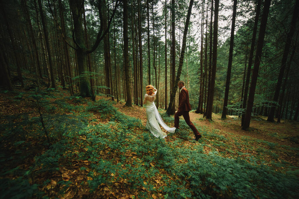 De bruid en bruidegom gaan hand in hand door het bos. Gelukkige bruid en bruidegom hand in hand en wandelen in het bos op trouwdag - Foto, afbeelding