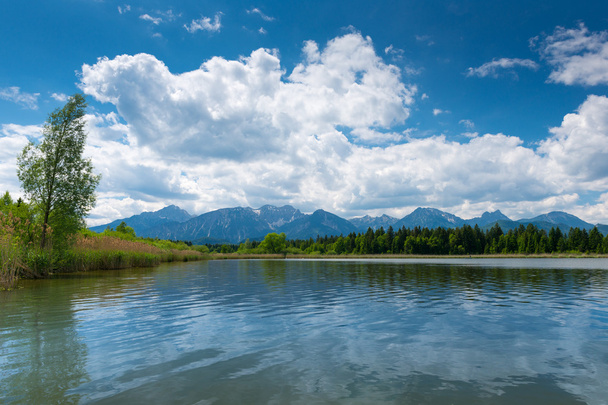 Lago hopfen am ver con cañas y cielo azul soleado con nubes
 - Foto, Imagen