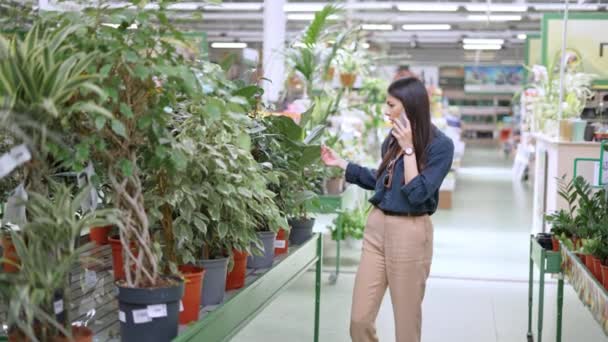 Νεαρή γυναίκα σε casual ρούχα μιλάει στο κινητό τηλέφωνο με το φίλο, ενώ κάνει ψώνια στο τμήμα λουλουδιών - Πλάνα, βίντεο