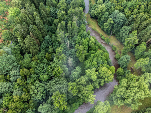 Vue aérienne d'une rivière avec des arbres - Photo, image
