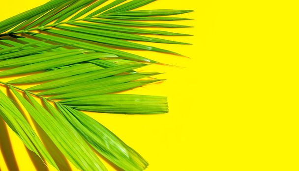 Tropical palm leaves on yellow background. Summer background concept - Foto, imagen