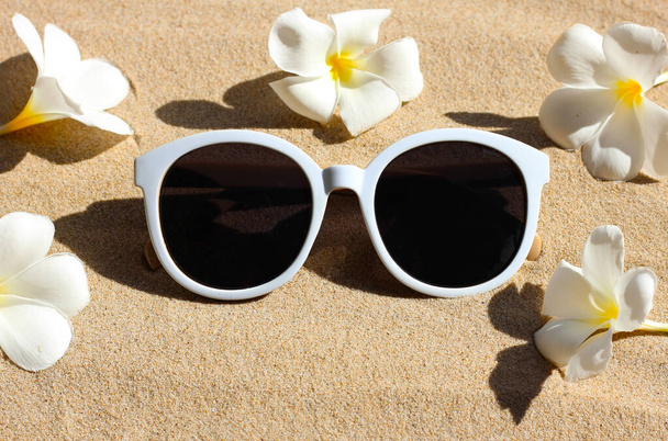 Γυαλιά ηλίου με λευκό λουλούδι plumeria στην άμμο. Έννοια θερινού υποβάθρου. - Φωτογραφία, εικόνα