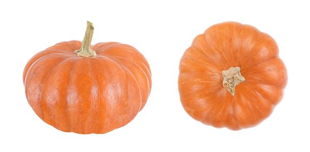 Orange pumpkin with side and top view isolated on a white background. - Photo, Image