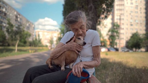 Zvířecí téma je osamělá stará nejlepší kamarádka. Běloška 90 let starší fena je šťastná, že může strávit čas se svým mazlíčkem malým jezevčíkem, držet ji v náručí, objímat a líbat venku. - Fotografie, Obrázek