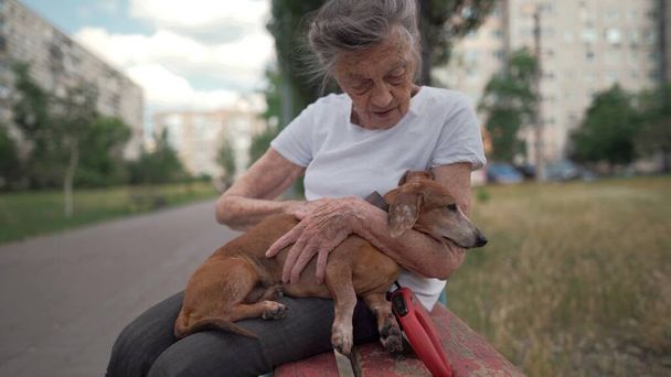 Boldog idős nő tart egy kis tacskó kutya a karjában, mosolyog ölelés, prések és bemutatja a szeretet, hogy a kedvence egy padon a parkban. Nő 90 éves tölti az időt a legjobb barátja pet az utcán. - Fotó, kép