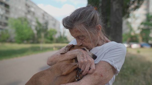 Dieren thema is een eenzame oude vrouw beste vriend. Blank 90 jaar oud senior vrouw is blij om tijd door te brengen met haar huisdier kleine teckel hond, houdt haar in haar armen, knuffelen knuffels en kussen outdoor. - Foto, afbeelding