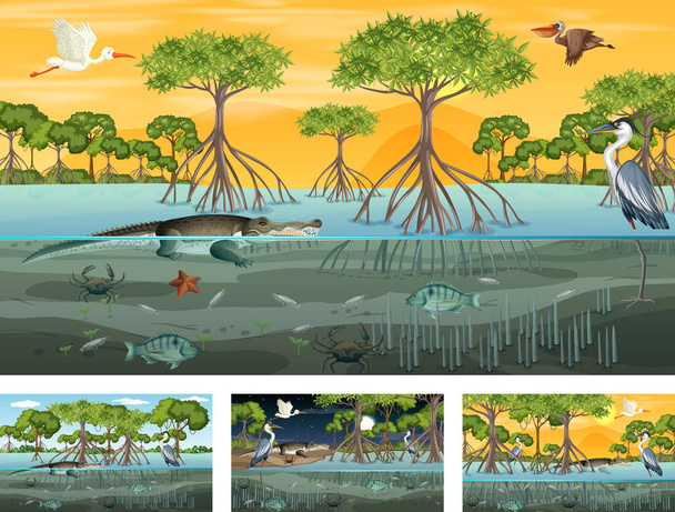 Different mangrove forest landscape scenes with animals illustration - Vector, Image