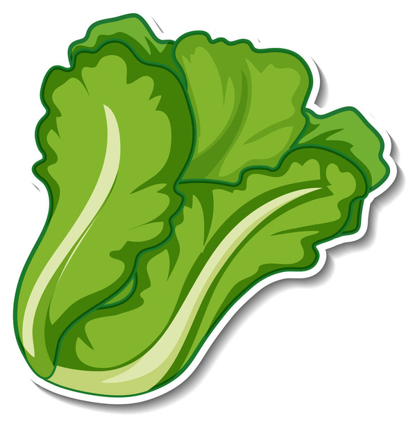 Saláta matrica fehér háttér illusztráció - Vektor, kép