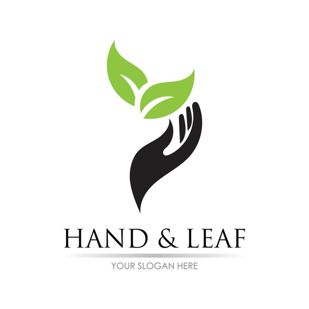 hand and leaf logo vector illustration design template - Vektor, kép