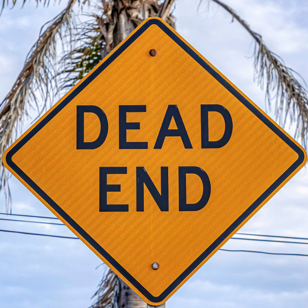 Square Dead End waarschuwingsbord tegen palmboom in Huntington Beach California - Foto, afbeelding
