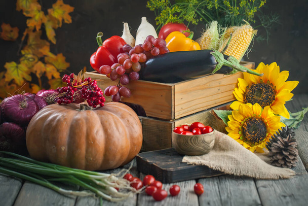 The table, decorated with vegetables, pumpkins and fruits. Harvest Festival,Happy Thanksgiving. Autumn background. Selective focus. Horizontal. - Foto, afbeelding