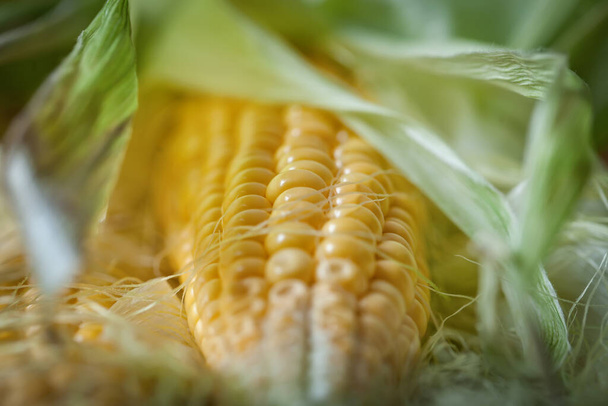 Fresh juicy corn with leaves on a wooden table. Autumn background. Selective focus. - 写真・画像