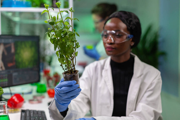 женщина-исследователь, сравнивающая зелень с помидорами - Фото, изображение