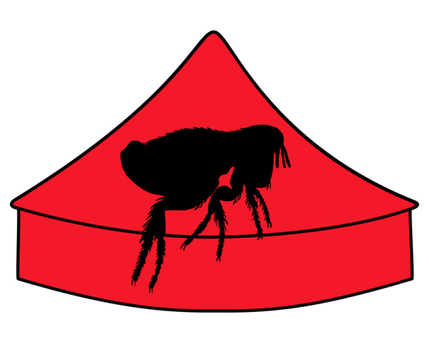 Circo de pulgas
  - Vetor, Imagem