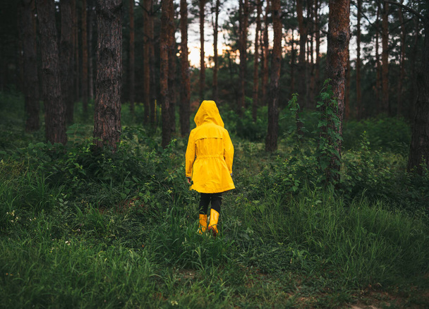Kid in yellow raincoat walking in forest - Fotoğraf, Görsel