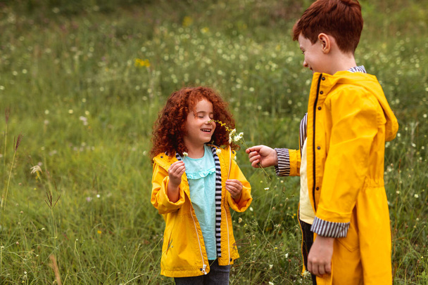 Happy redhead siblings in raincoats enjoying summer day in field - Foto, Bild