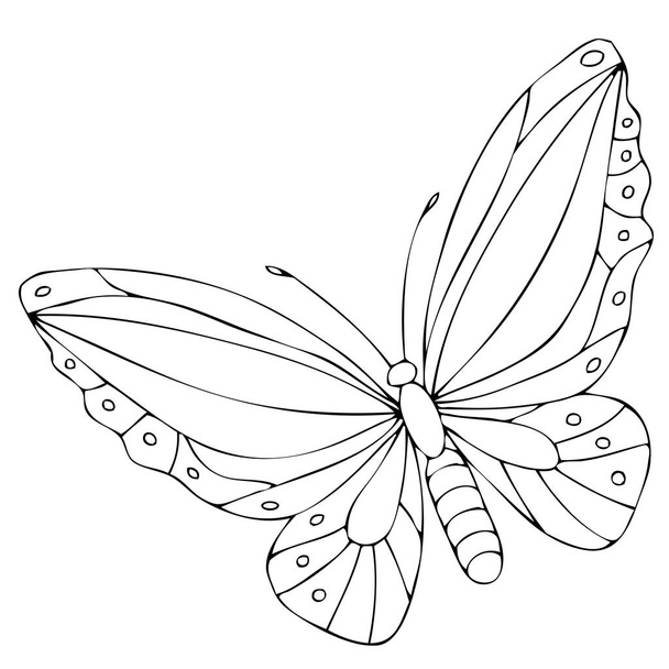 Isolated black and white butterfly on a white background. Vector illustration. - Vettoriali, immagini