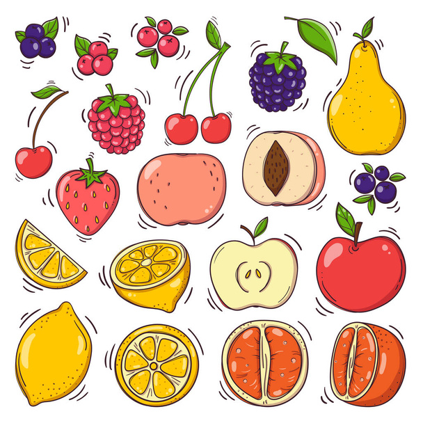 Hand drawn fruits and berries set - Vector, Imagen