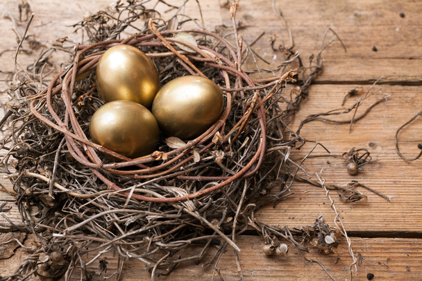 Golden eggs in the nest - Фото, изображение
